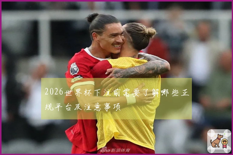 2026世界杯下注前需要了解哪些正规平台及注意事项