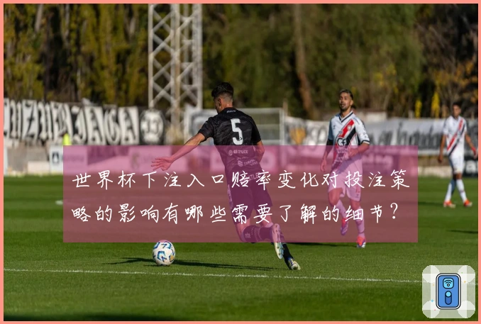 世界杯下注入口赔率变化对投注策略的影响有哪些需要了解的细节？
