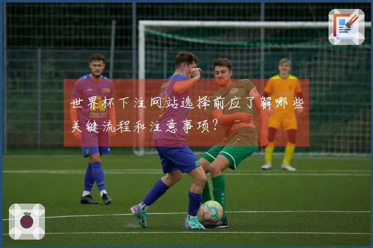 世界杯下注网站选择前应了解哪些关键流程和注意事项？