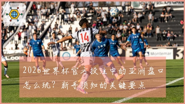2026世界杯官方投注中的亚洲盘口怎么玩？新手须知的关键要点