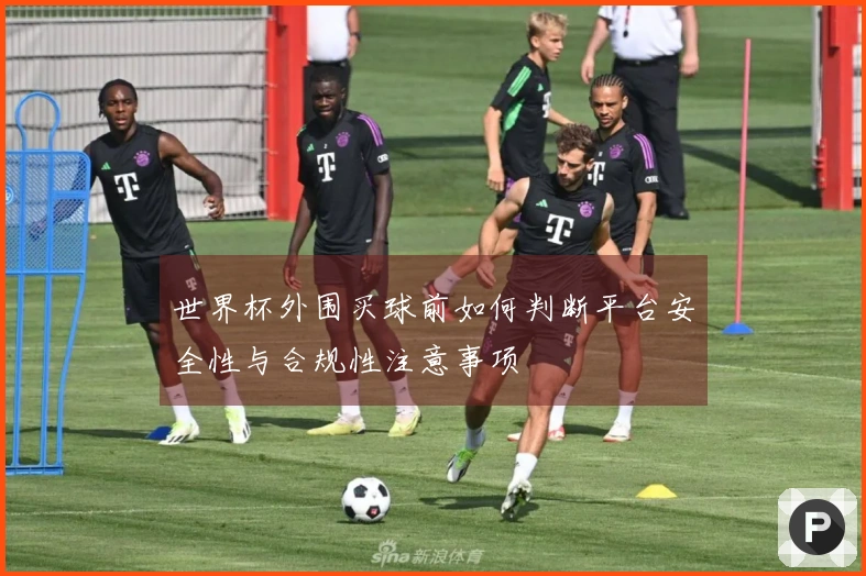 世界杯外围买球前如何判断平台安全性与合规性注意事项