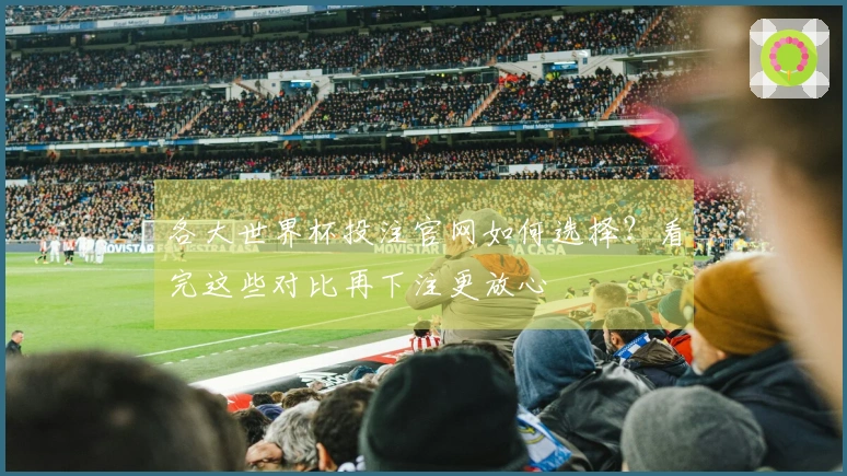 各大世界杯投注官网如何选择？看完这些对比再下注更放心