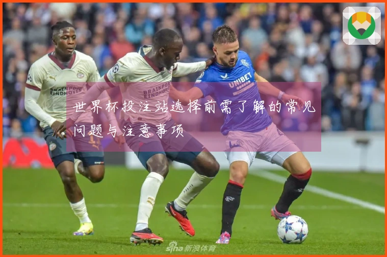 世界杯投注站选择前需了解的常见问题与注意事项