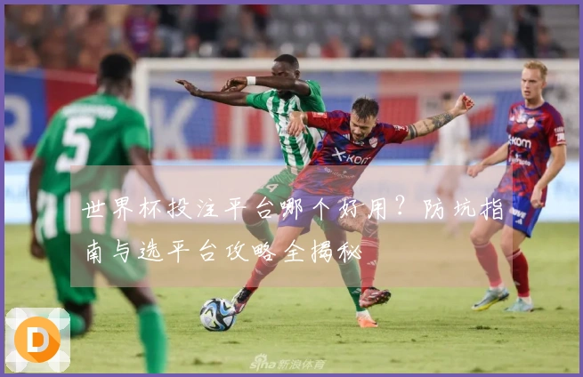 世界杯投注平台哪个好用？防坑指南与选平台攻略全揭秘