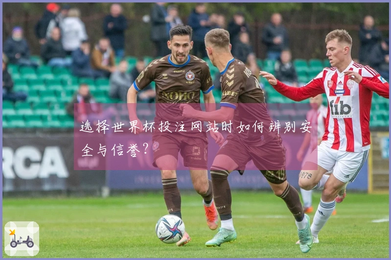 选择世界杯投注网站时如何辨别安全与信誉？