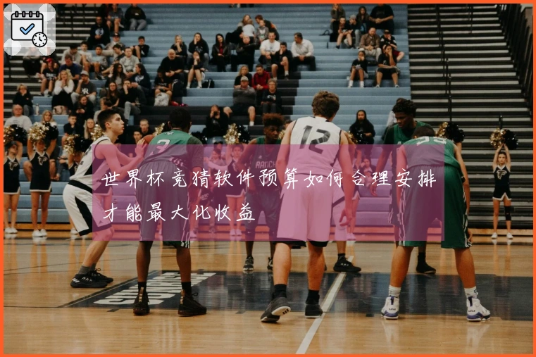 世界杯竞猜软件预算如何合理安排才能最大化收益