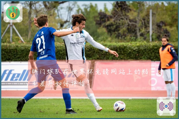 热门球队在世界杯竞猜网站上的赔率差异如何评估?