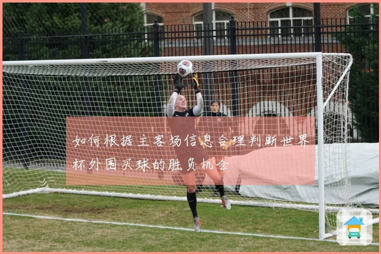 如何根据主客场信息合理判断世界杯外围买球的胜负机会