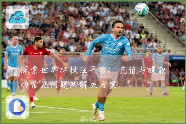 探索世界杯投注平台：充值与提款的常见问题及解决方案