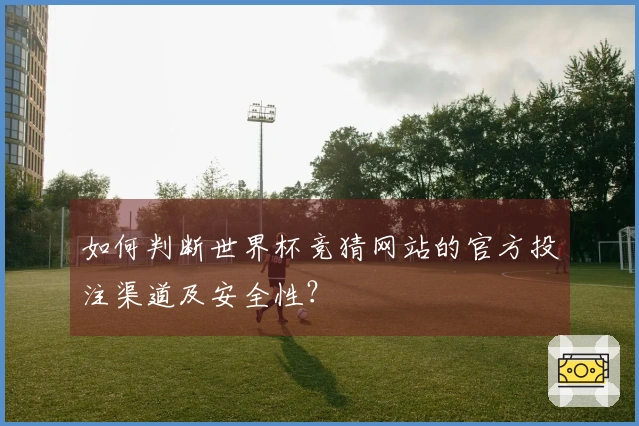 如何判断世界杯竞猜网站的官方投注渠道及安全性？