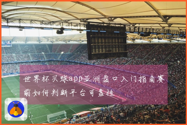 世界杯买球app亚洲盘口入门指南赛前如何判断平台可靠性