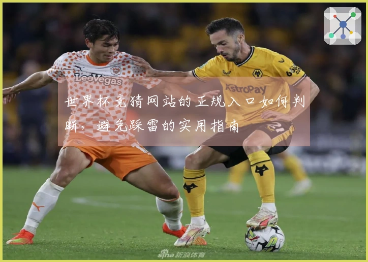 世界杯竞猜网站的正规入口如何判断，避免踩雷的实用指南